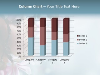 Spring Beauty PowerPoint Template