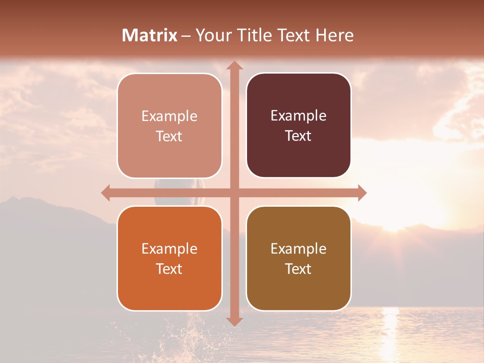 Beautiful Dolphin PowerPoint Template