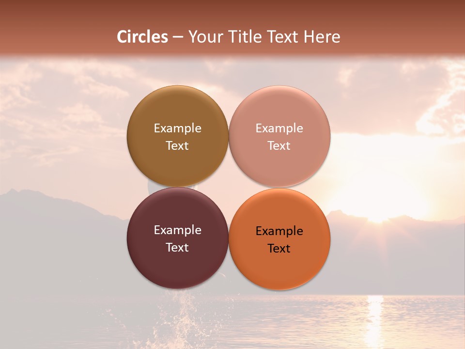 Beautiful Dolphin PowerPoint Template