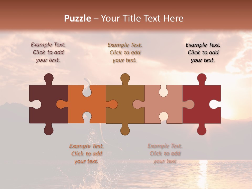 Beautiful Dolphin PowerPoint Template