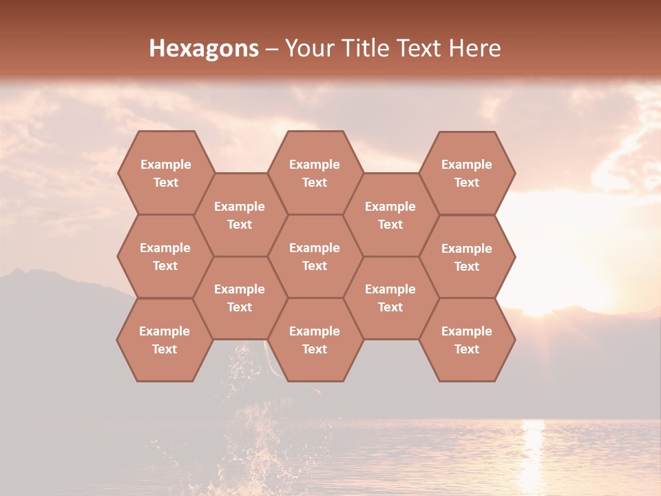 Beautiful Dolphin PowerPoint Template