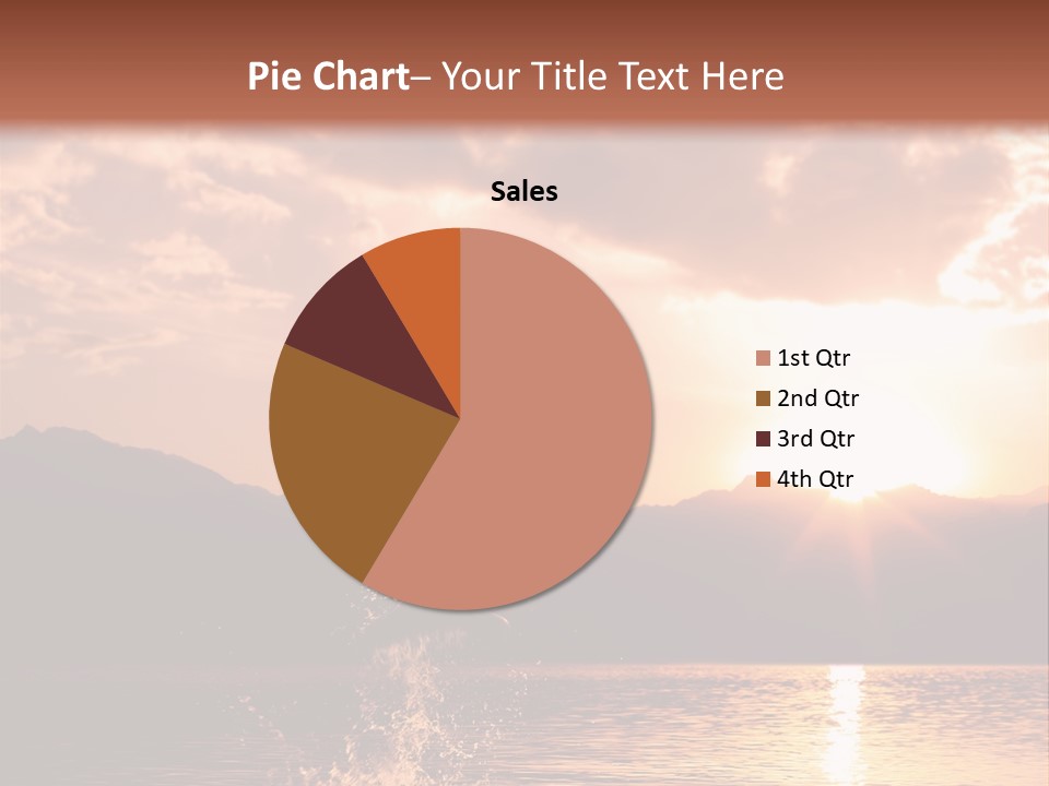 Beautiful Dolphin PowerPoint Template