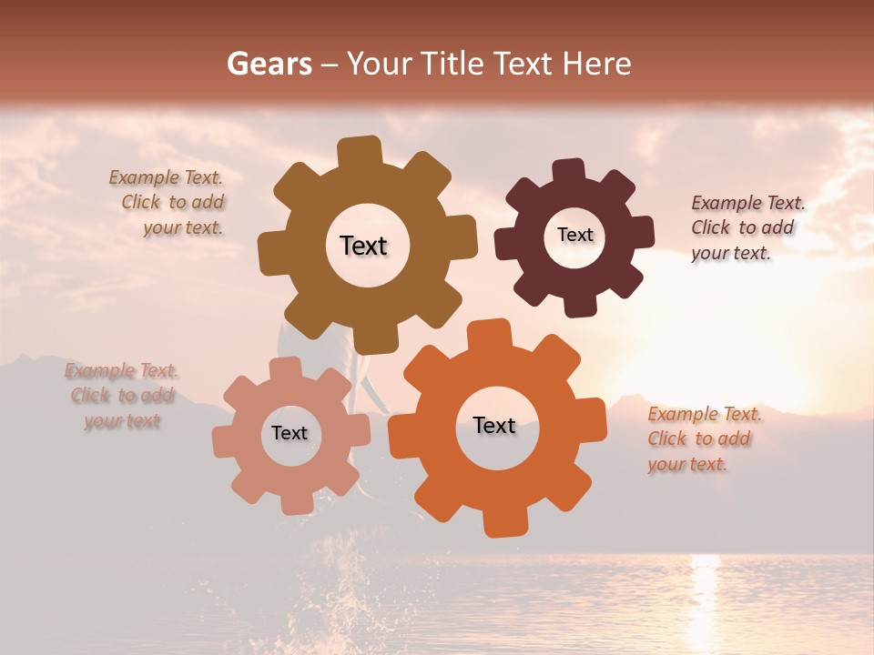 Beautiful Dolphin PowerPoint Template