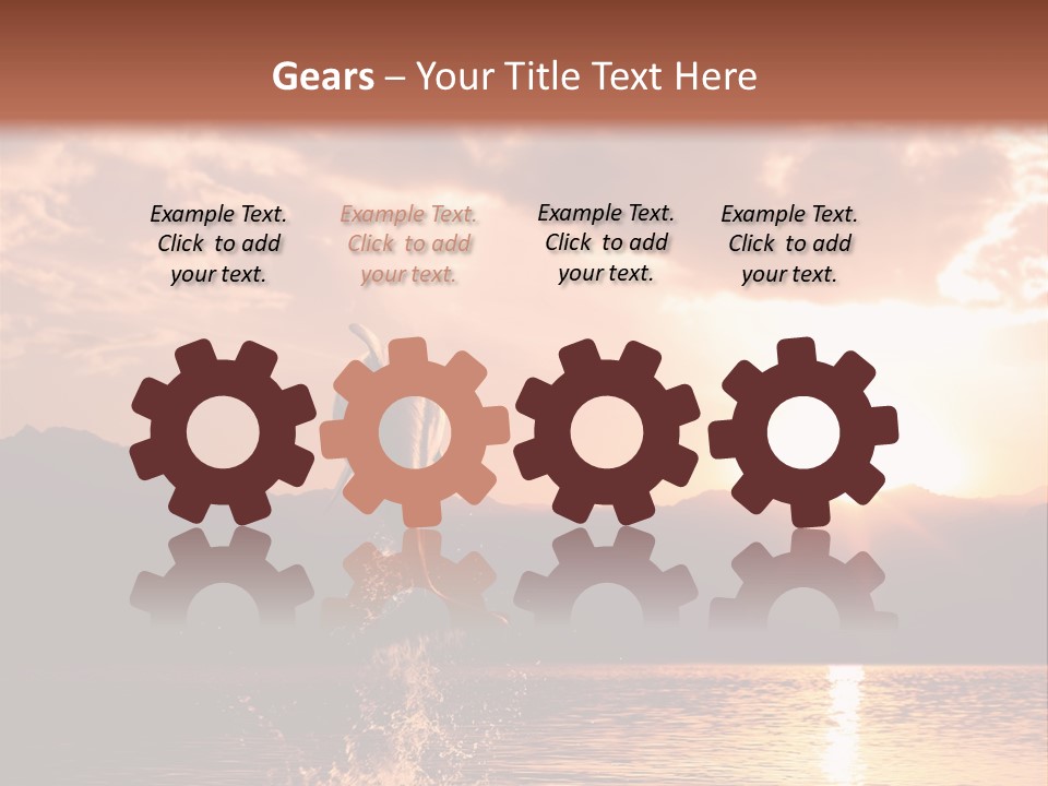 Beautiful Dolphin PowerPoint Template