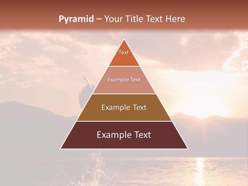 Beautiful Dolphin PowerPoint Template