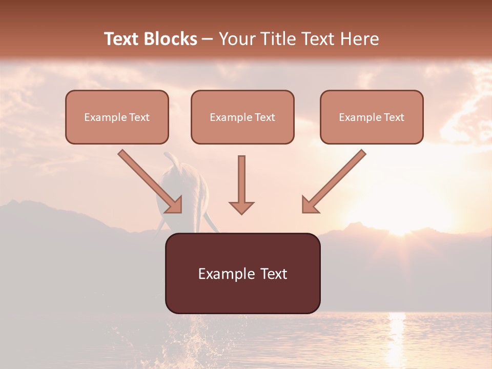 Beautiful Dolphin PowerPoint Template