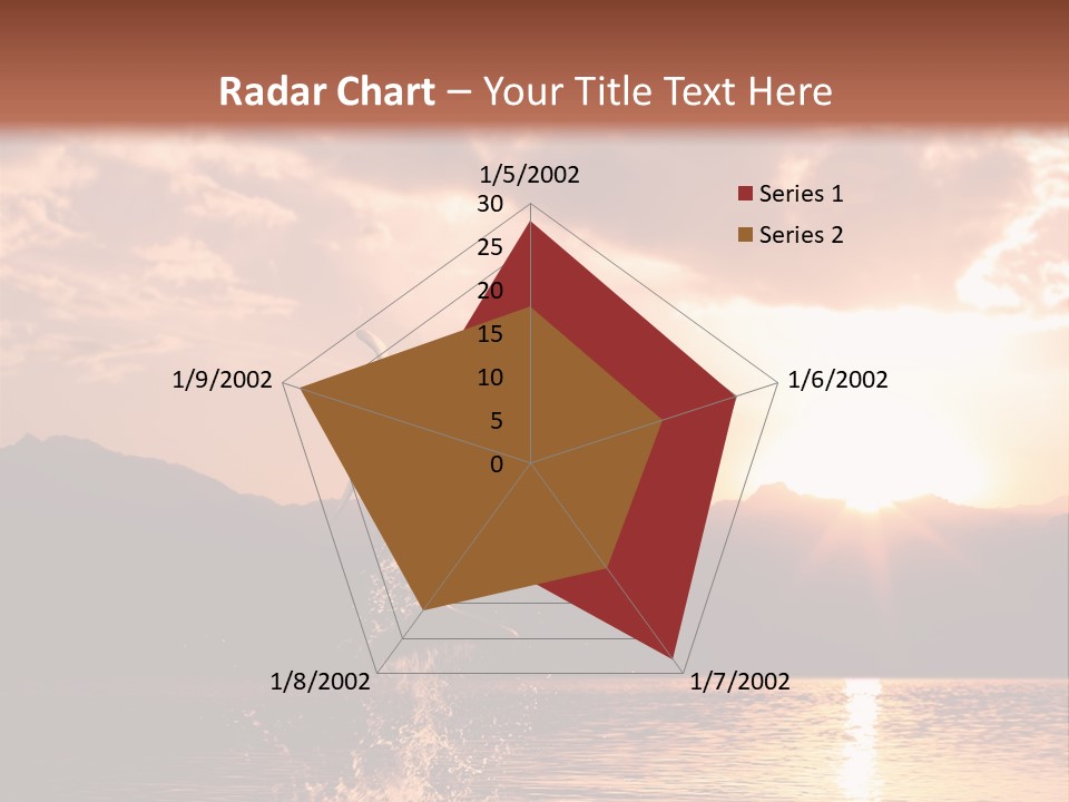 Beautiful Dolphin PowerPoint Template