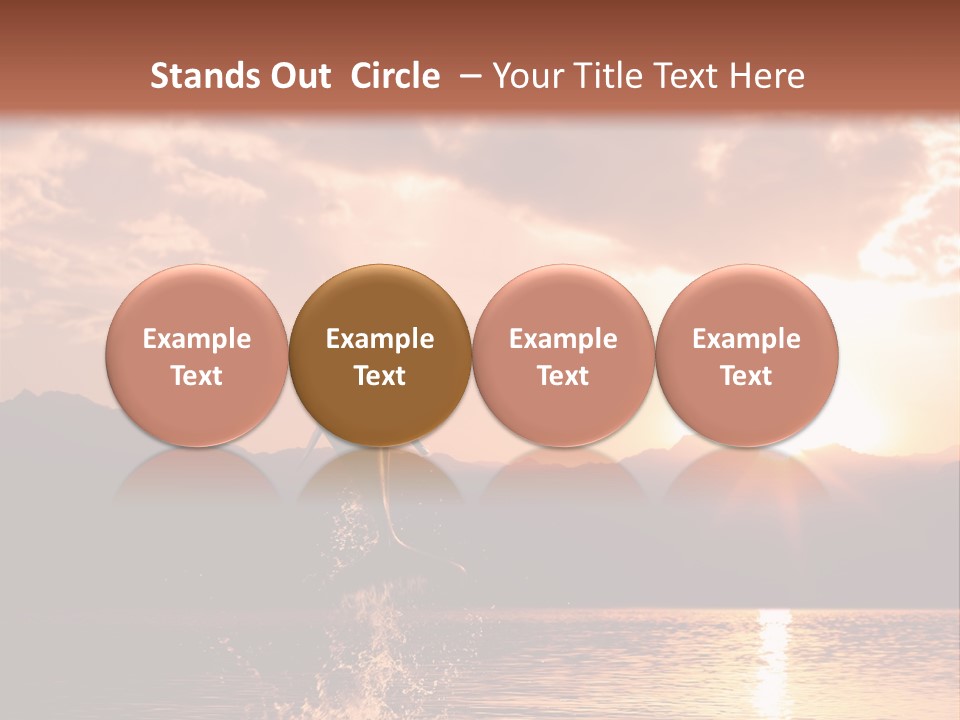 Beautiful Dolphin PowerPoint Template