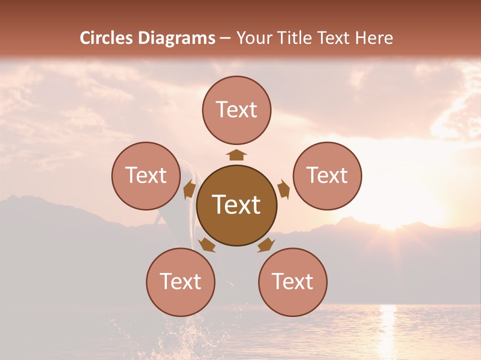 Beautiful Dolphin PowerPoint Template
