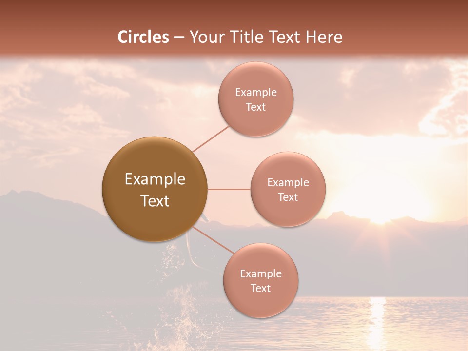 Beautiful Dolphin PowerPoint Template