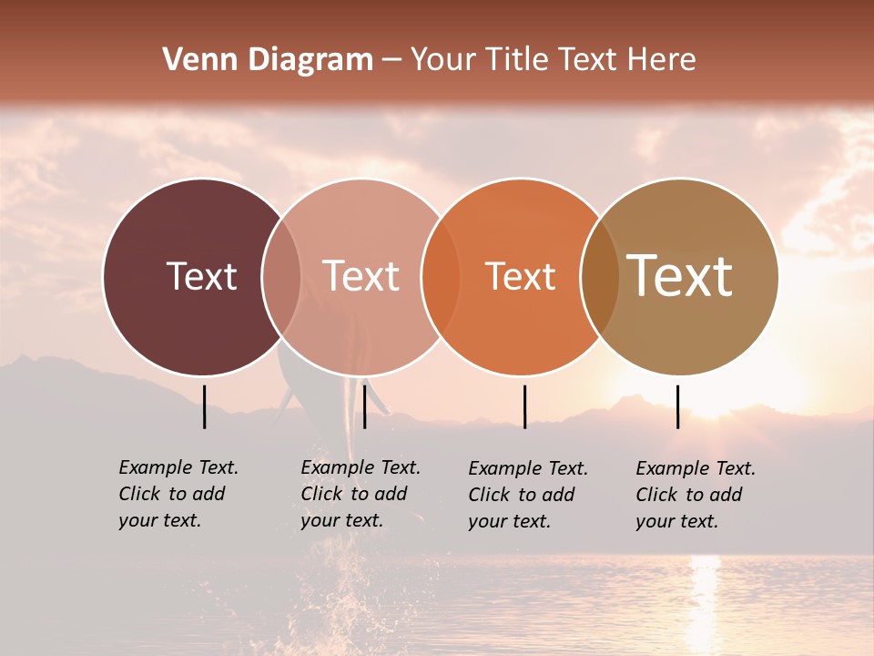 Beautiful Dolphin PowerPoint Template