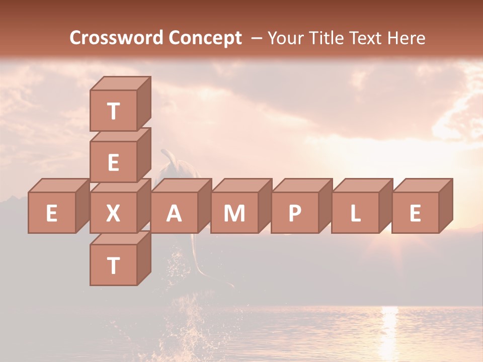 Beautiful Dolphin PowerPoint Template