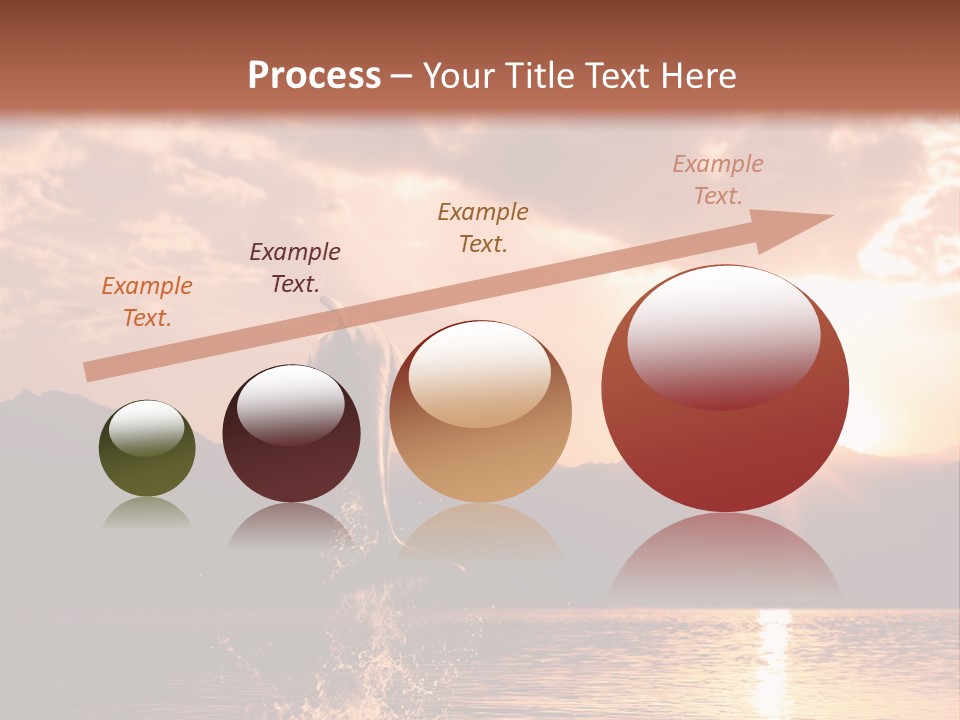 Beautiful Dolphin PowerPoint Template