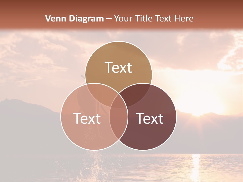 Beautiful Dolphin PowerPoint Template