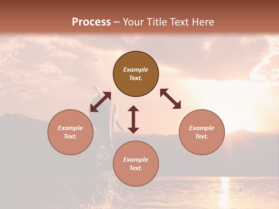 Beautiful Dolphin PowerPoint Template
