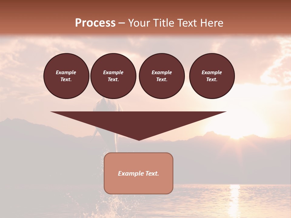 Beautiful Dolphin PowerPoint Template