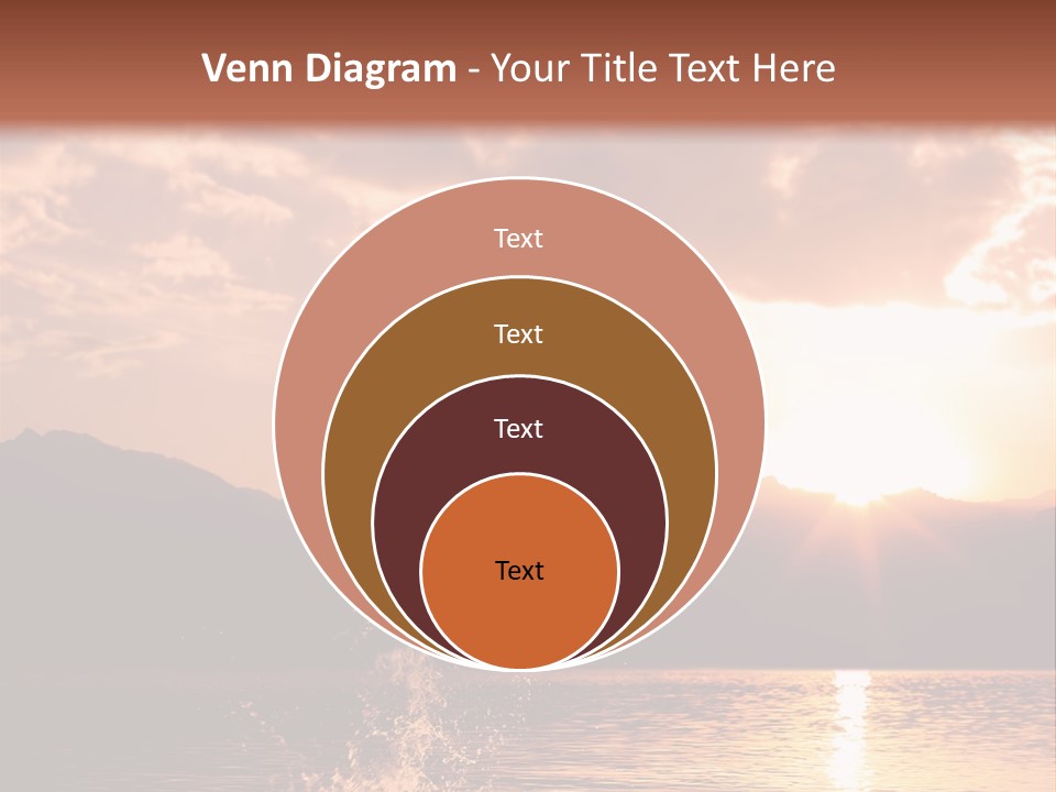 Beautiful Dolphin PowerPoint Template