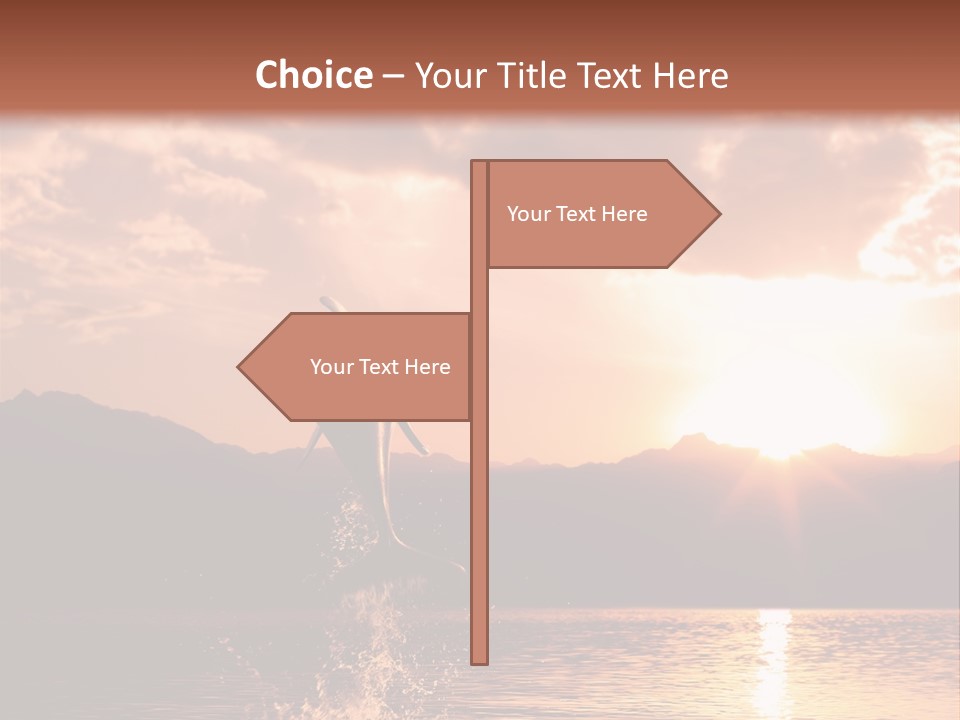 Beautiful Dolphin PowerPoint Template