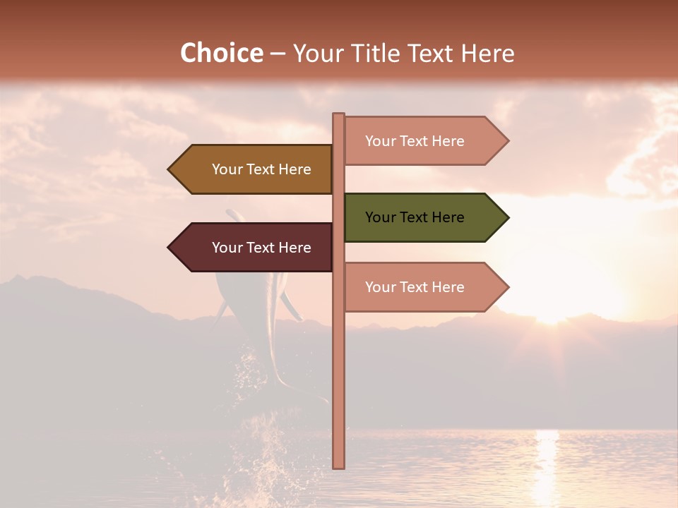 Beautiful Dolphin PowerPoint Template