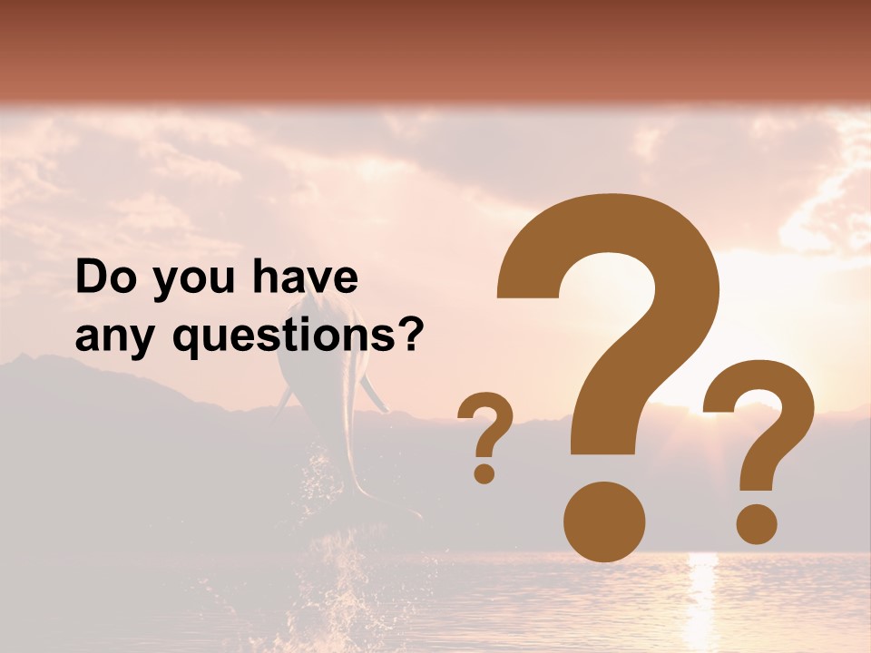 Beautiful Dolphin PowerPoint Template