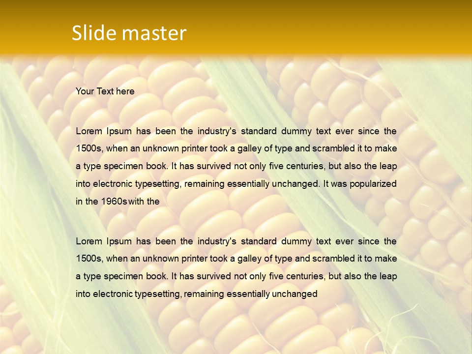 Imagem De Milho PowerPoint Template