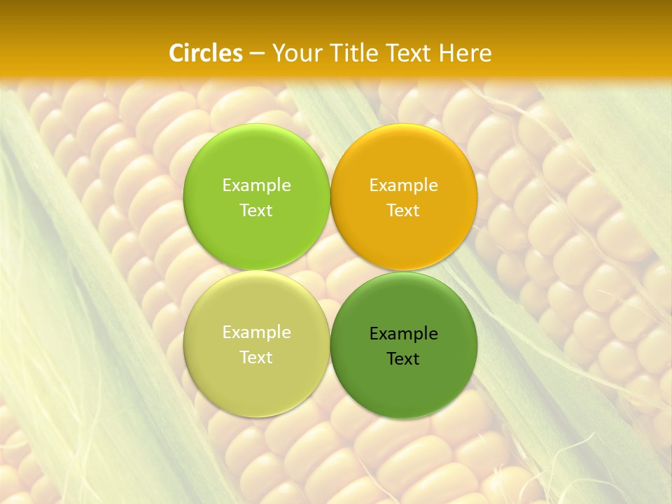 Imagem De Milho PowerPoint Template