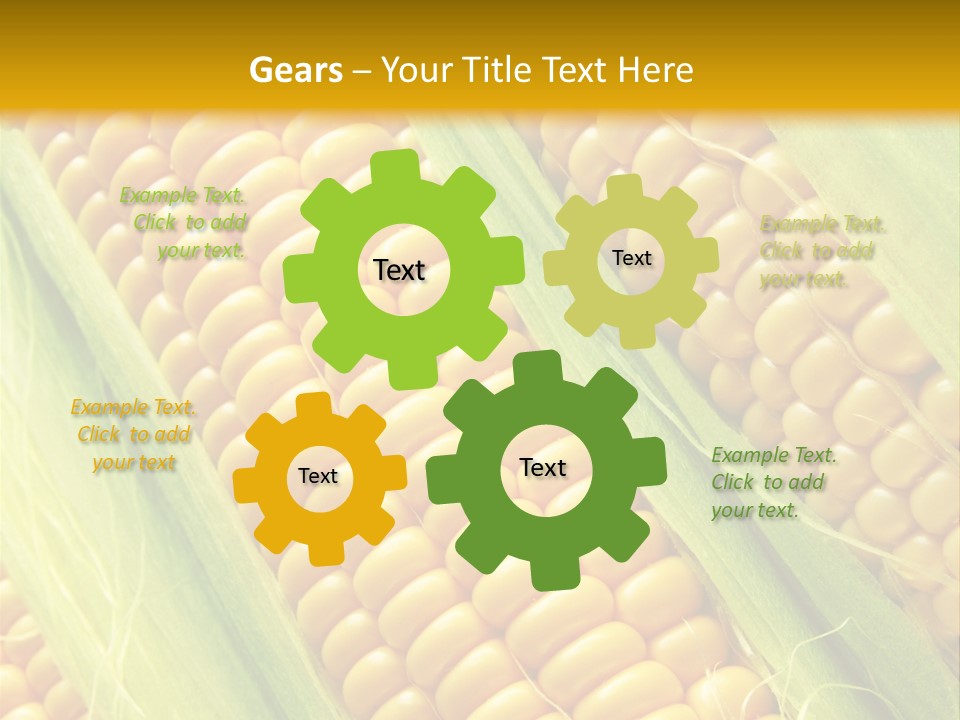 Imagem De Milho PowerPoint Template