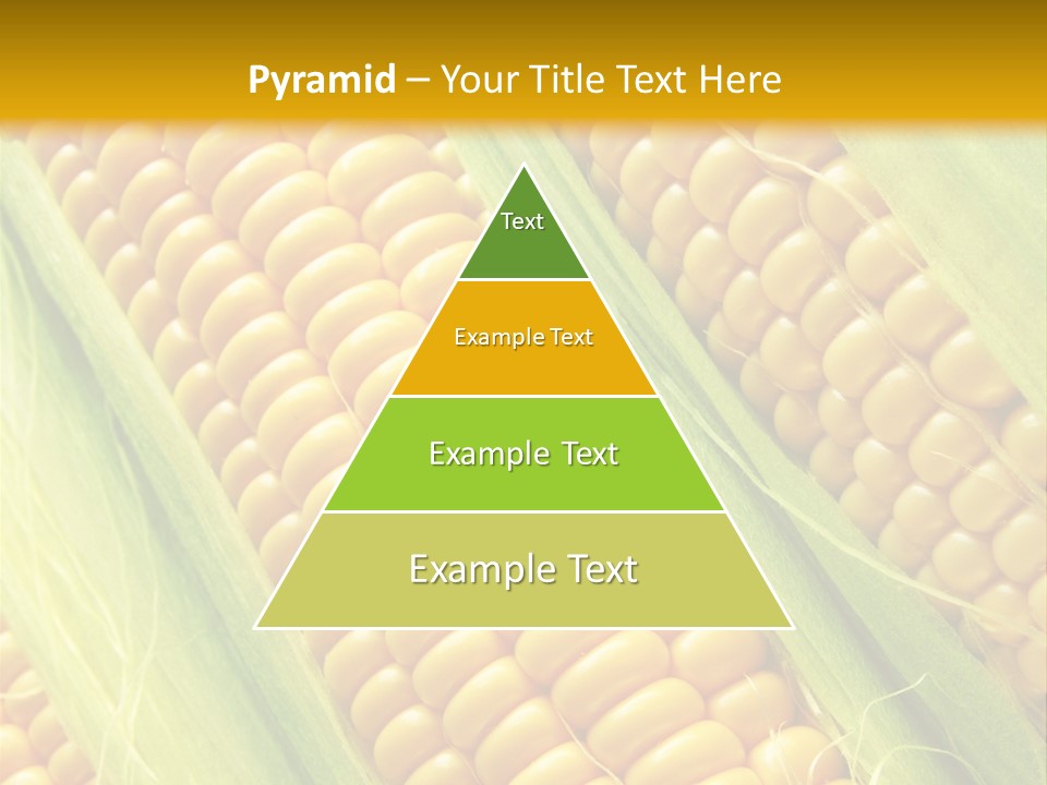 Imagem De Milho PowerPoint Template