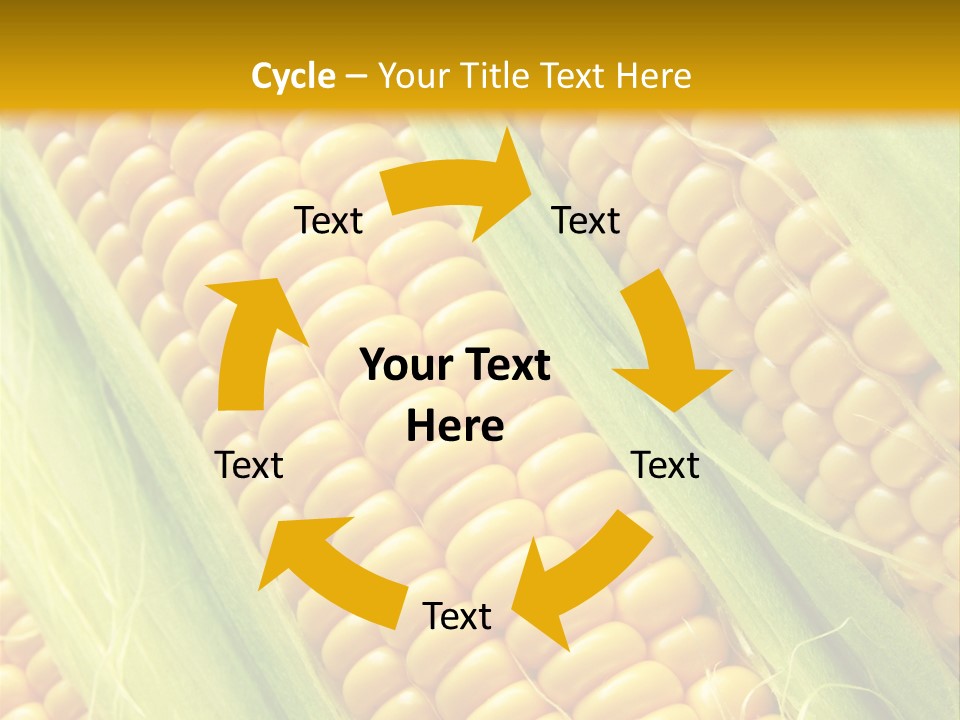 Imagem De Milho PowerPoint Template