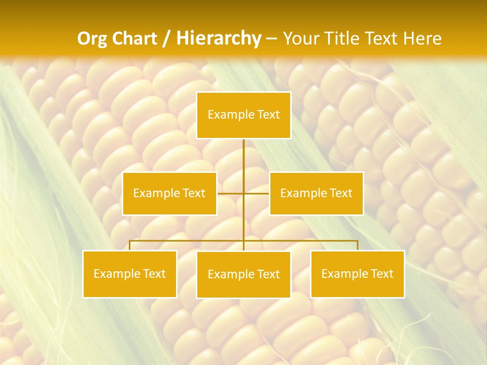 Imagem De Milho PowerPoint Template