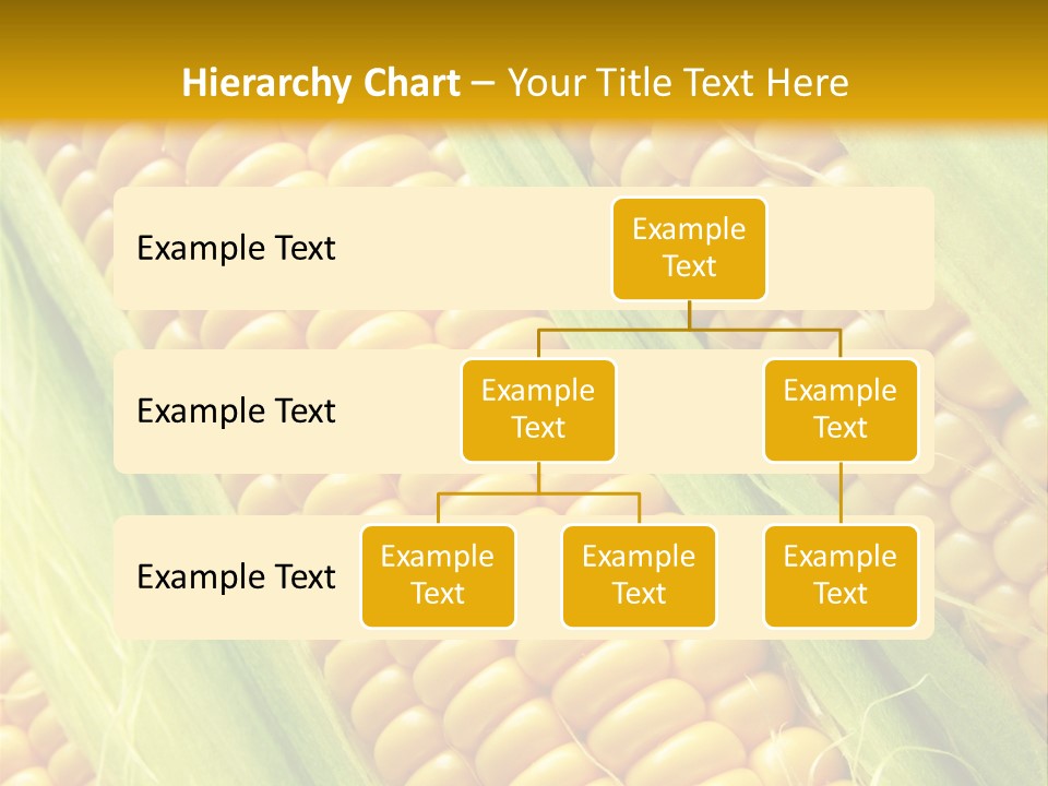 Imagem De Milho PowerPoint Template