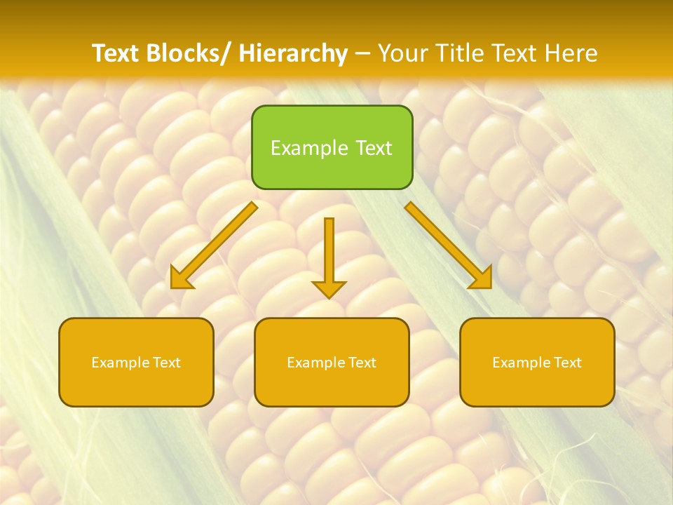 Imagem De Milho PowerPoint Template