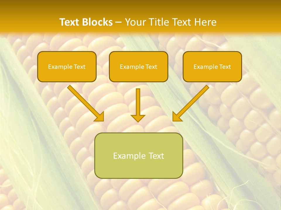 Imagem De Milho PowerPoint Template