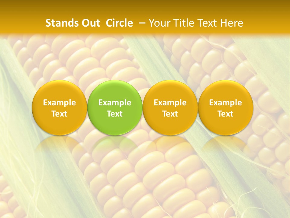 Imagem De Milho PowerPoint Template