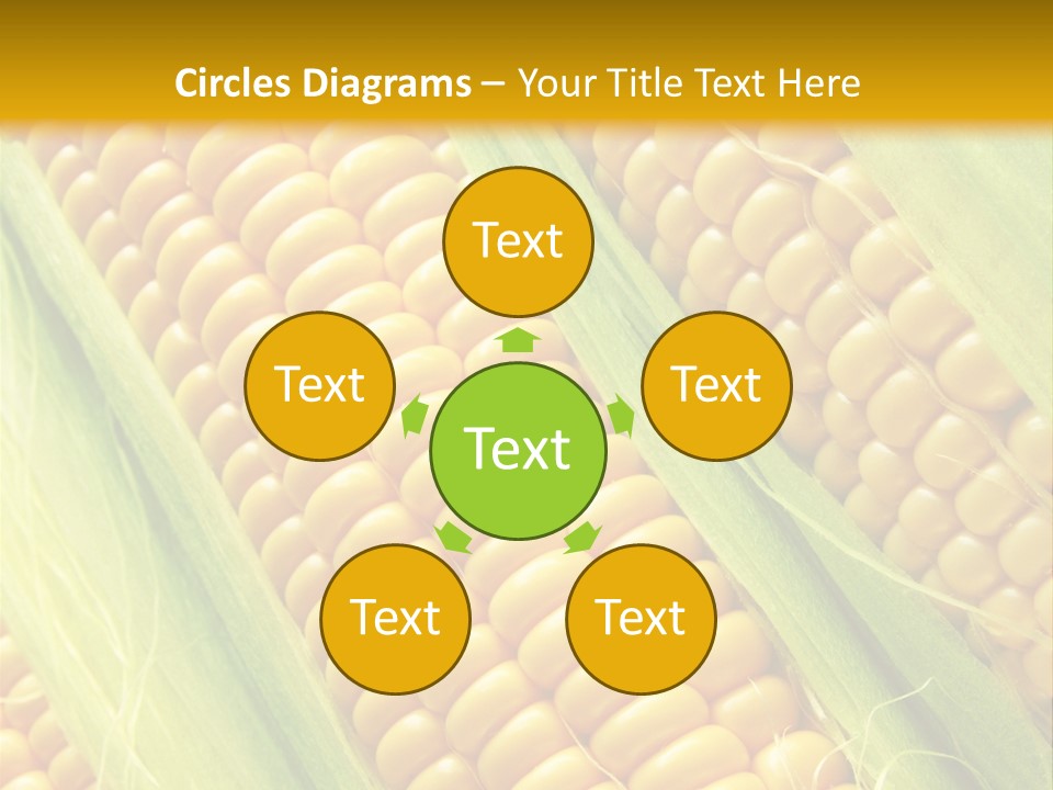 Imagem De Milho PowerPoint Template