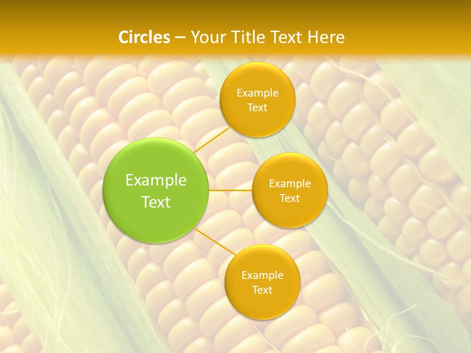 Imagem De Milho PowerPoint Template