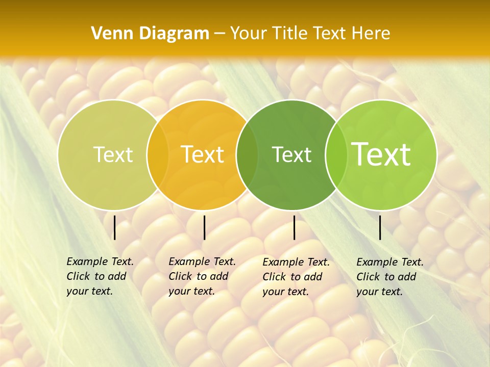 Imagem De Milho PowerPoint Template