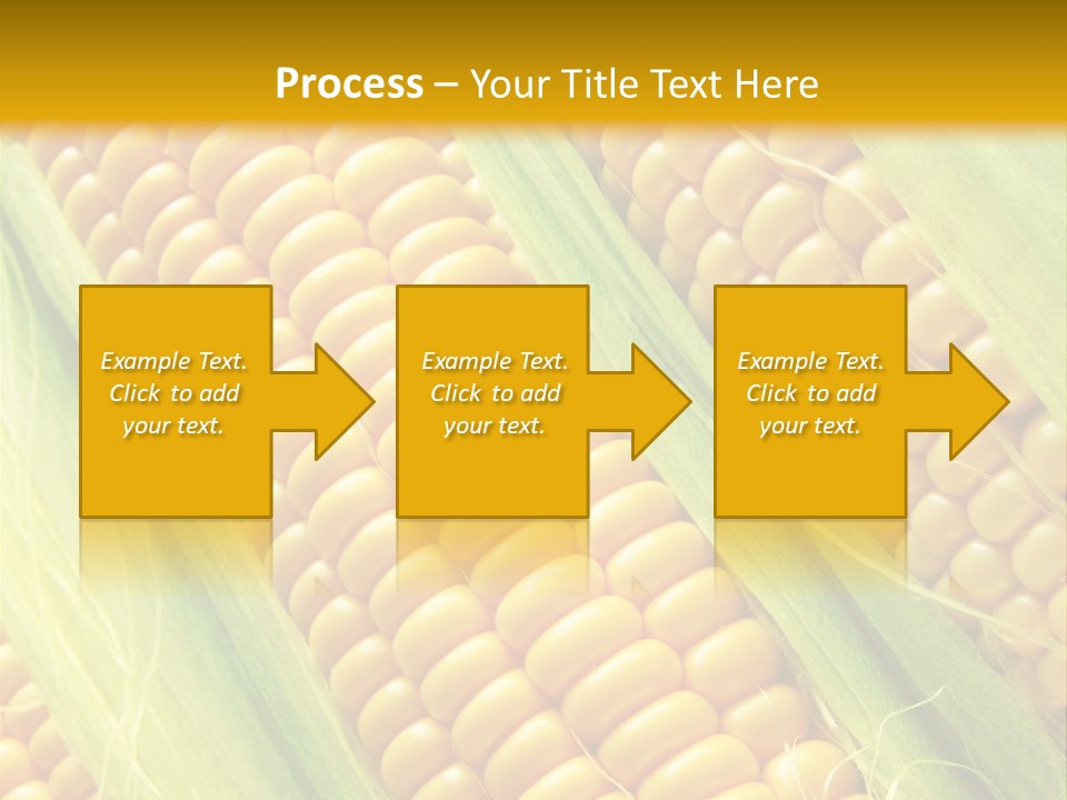 Imagem De Milho PowerPoint Template