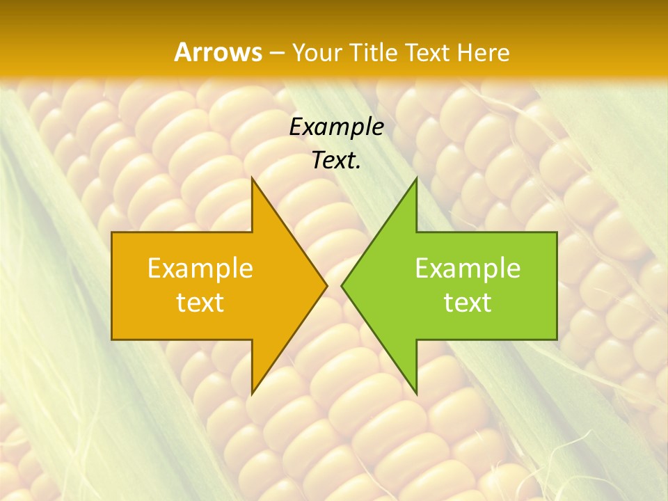 Imagem De Milho PowerPoint Template