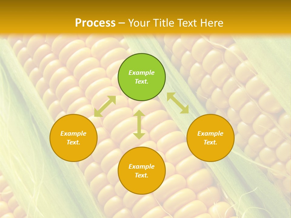 Imagem De Milho PowerPoint Template