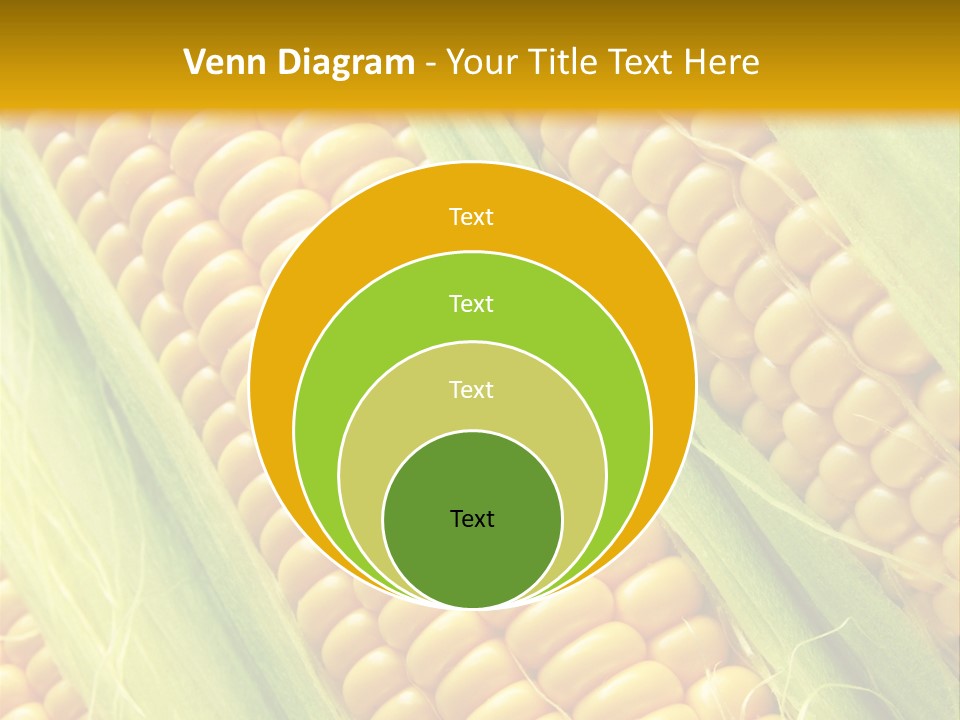 Imagem De Milho PowerPoint Template