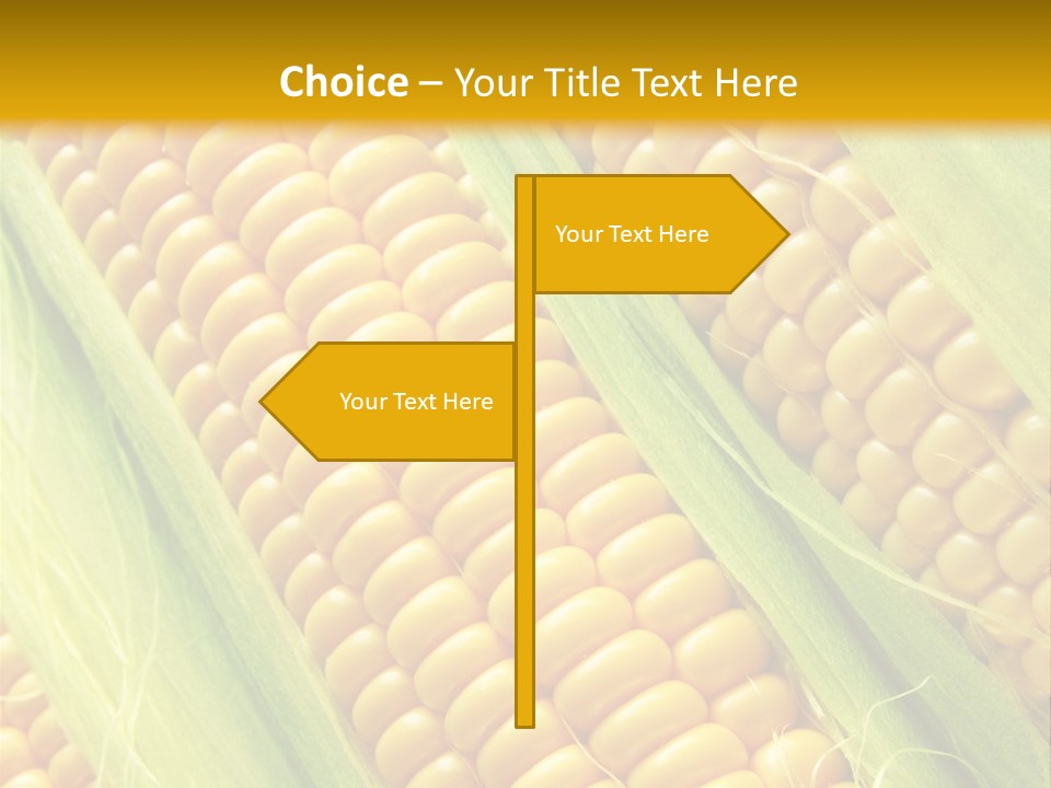 Imagem De Milho PowerPoint Template