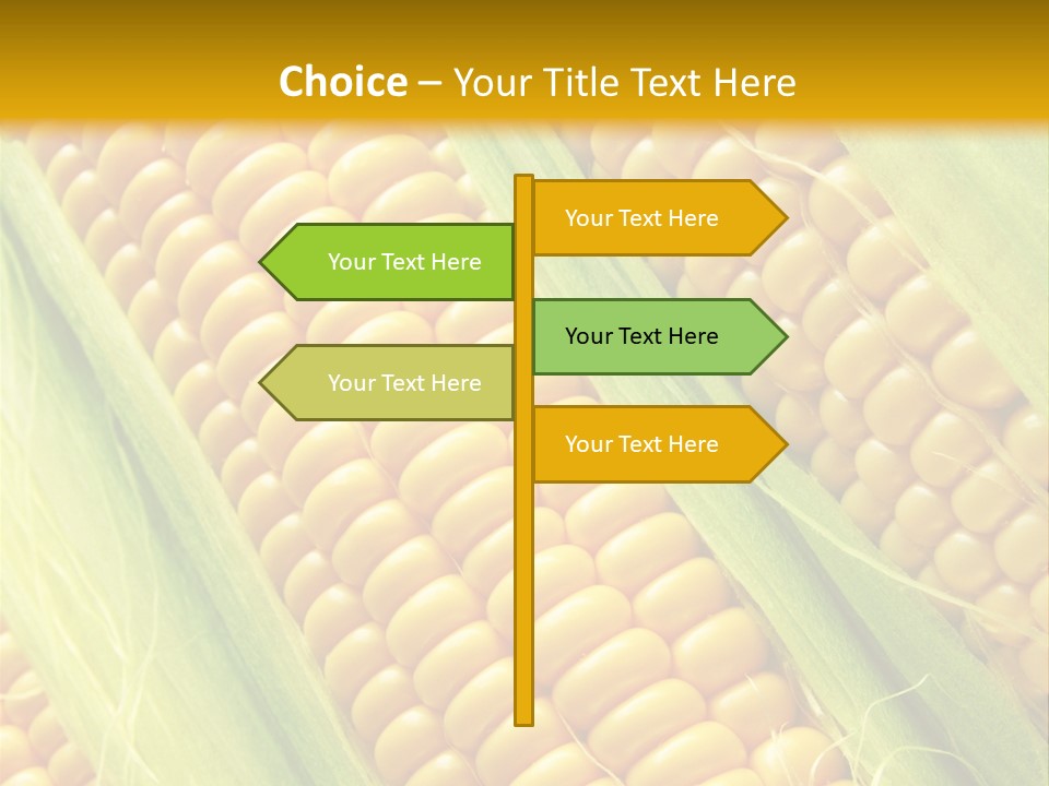 Imagem De Milho PowerPoint Template