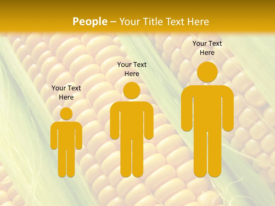 Imagem De Milho PowerPoint Template