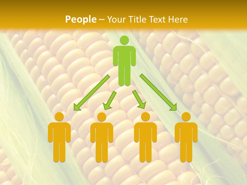 Imagem De Milho PowerPoint Template