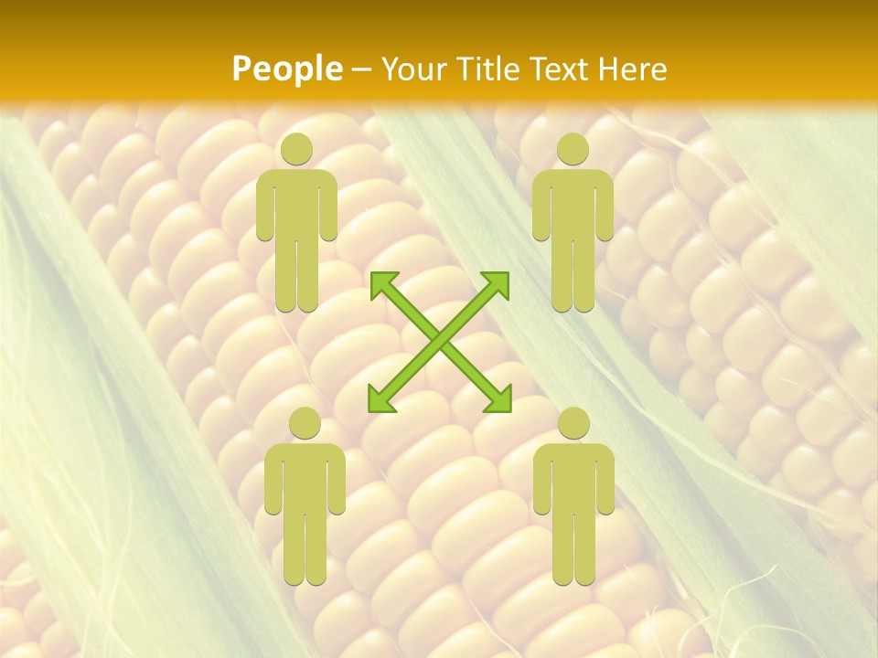 Imagem De Milho PowerPoint Template