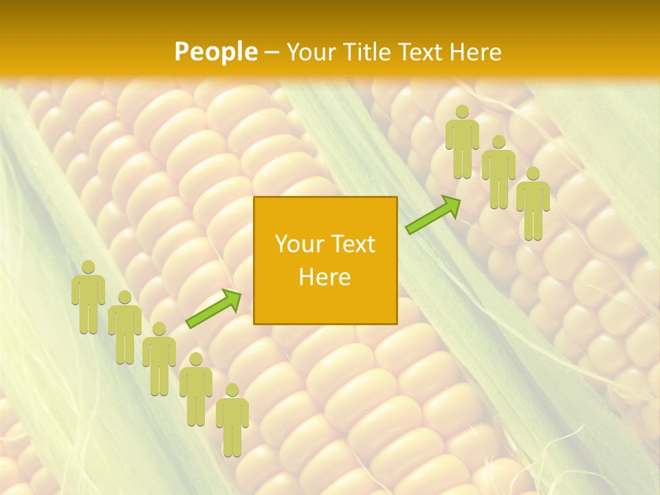 Imagem De Milho PowerPoint Template