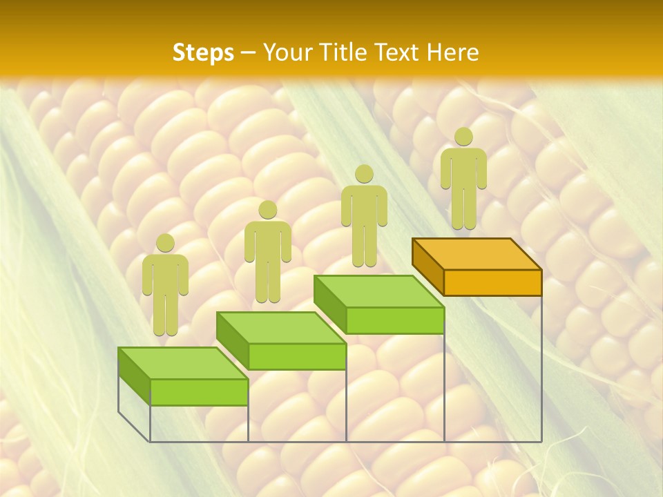 Imagem De Milho PowerPoint Template