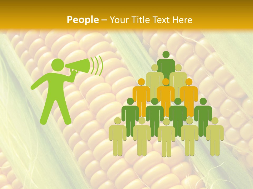 Imagem De Milho PowerPoint Template