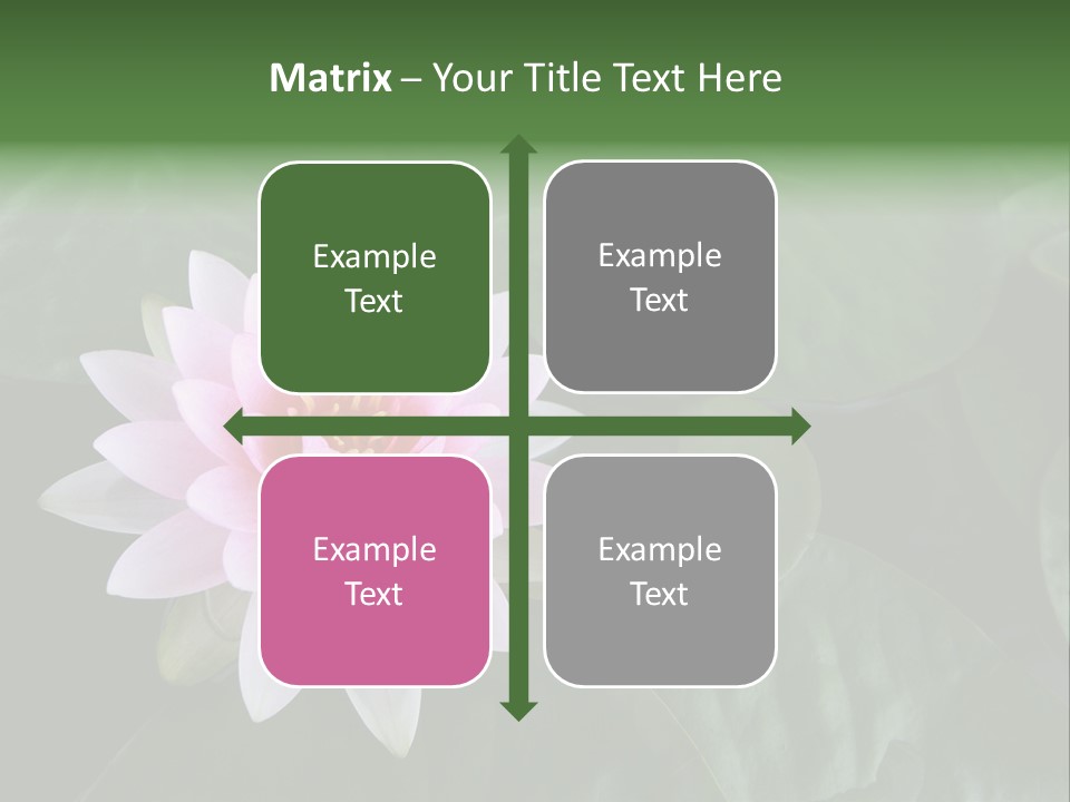 Water Lily PowerPoint Template